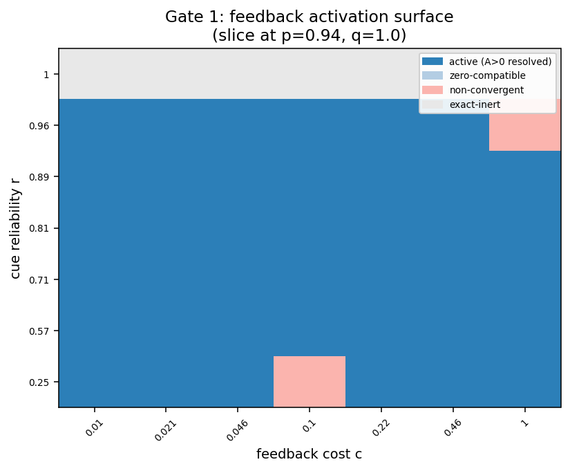 Gate-1 feedback activation surface